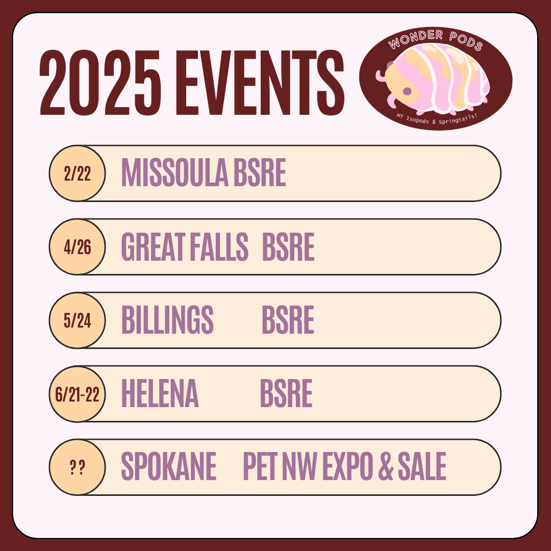 2025 Events