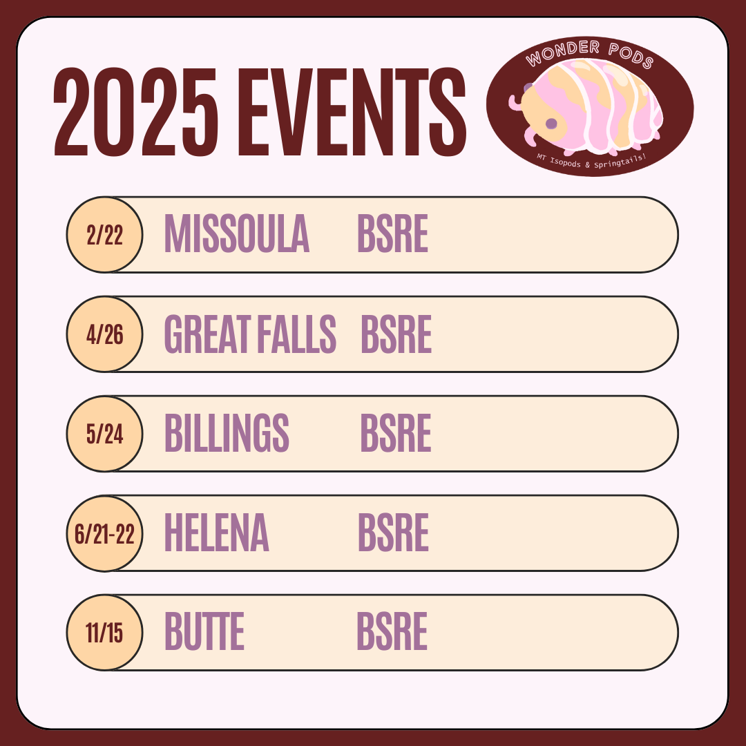 2025 Events