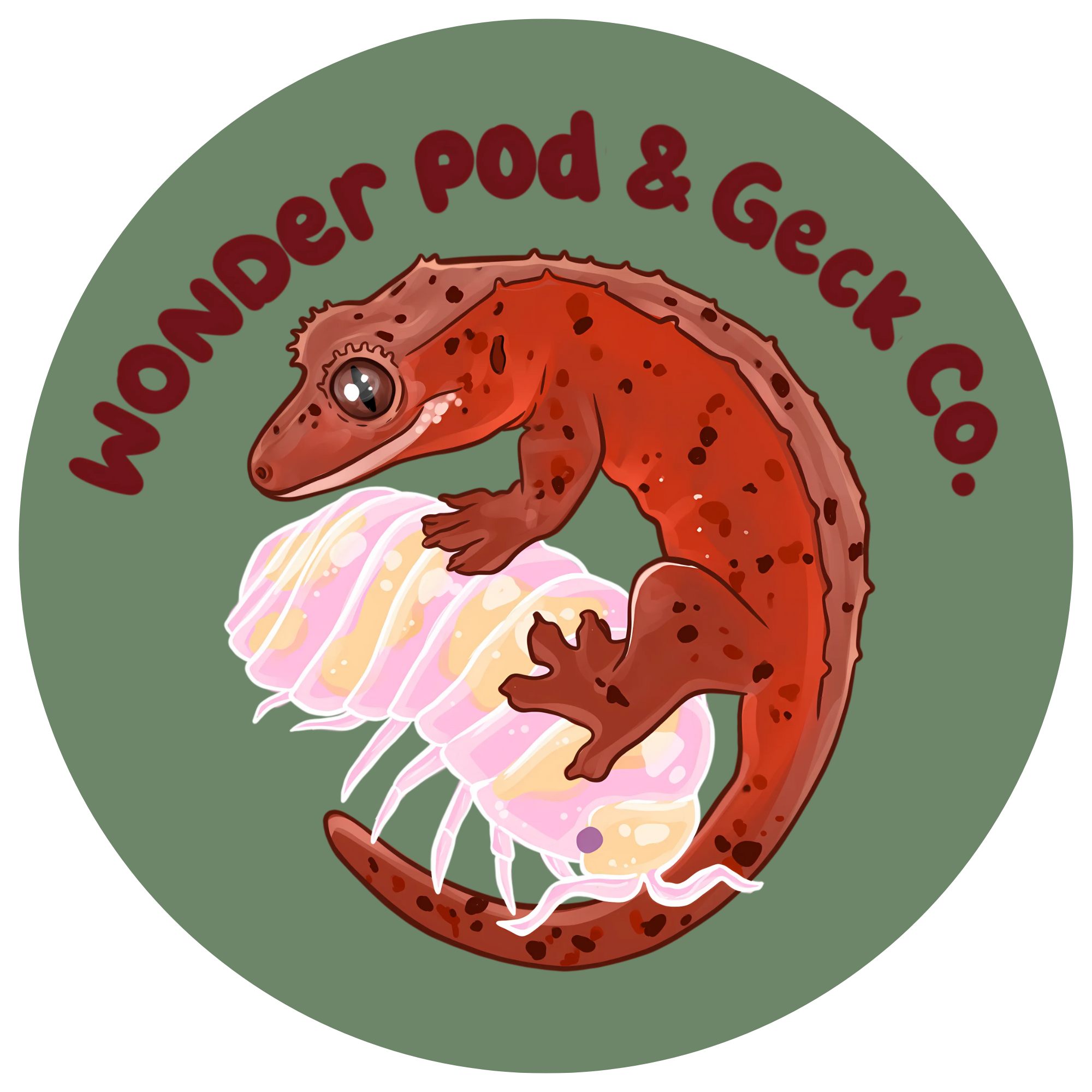 Logo of Wonder Pod & Geck Co showing a cartoon isopod and crested gecko